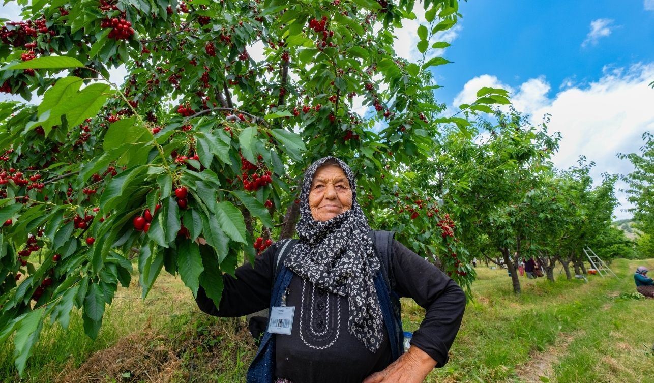 Kabalı (4)