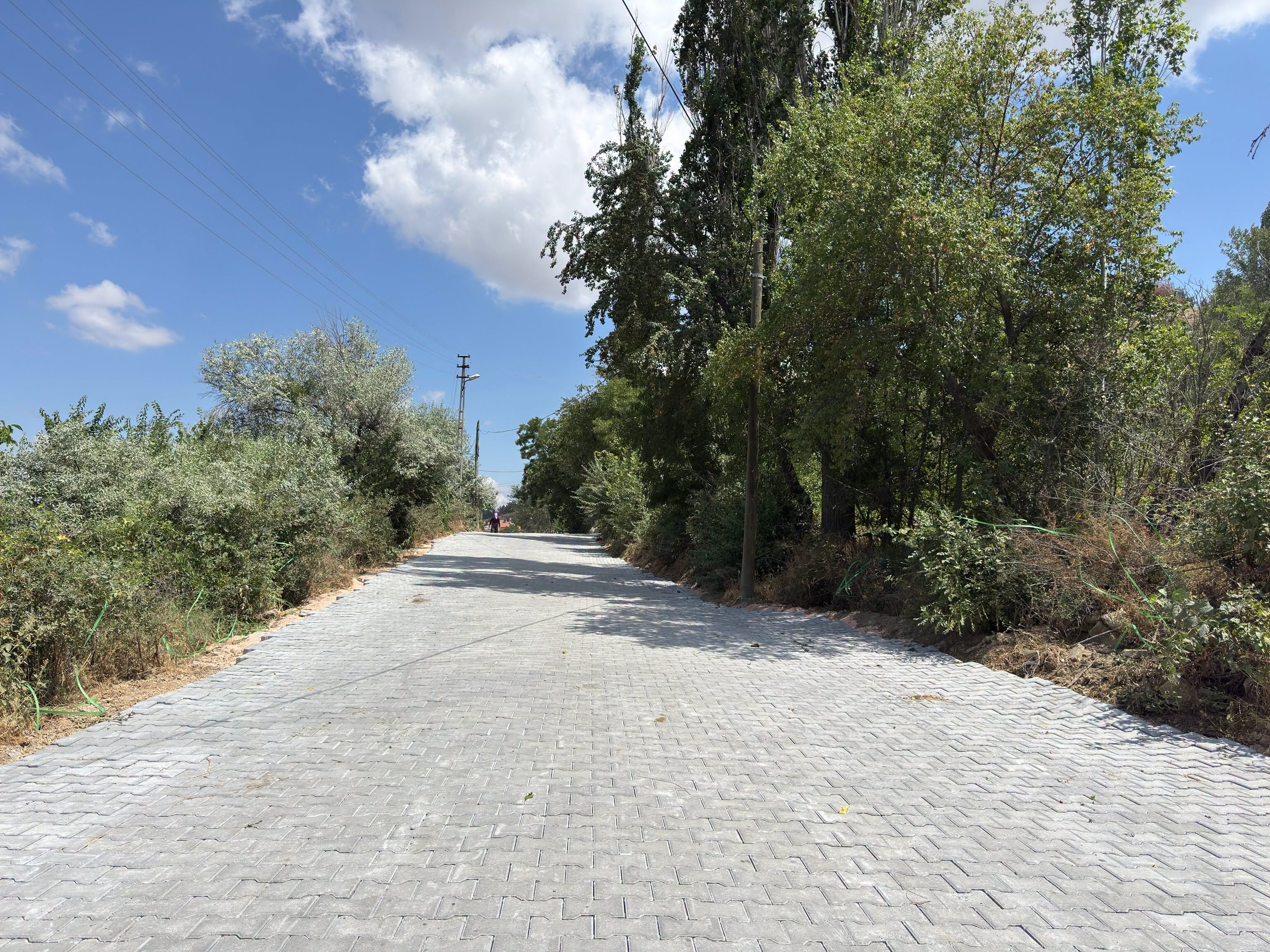 Parke Çalışmaları Sürüyor