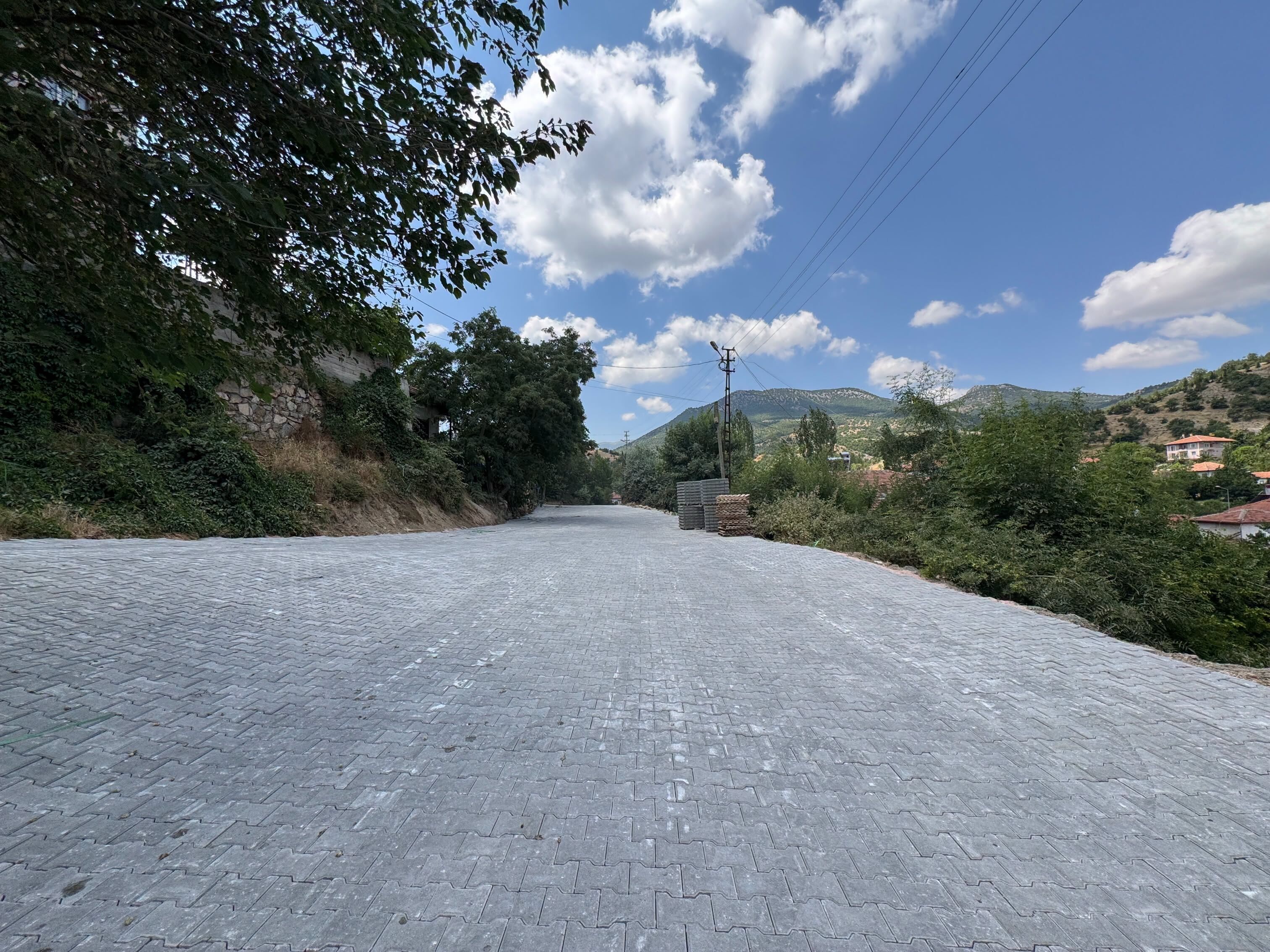 Parke Çalışmaları Sürüyor2
