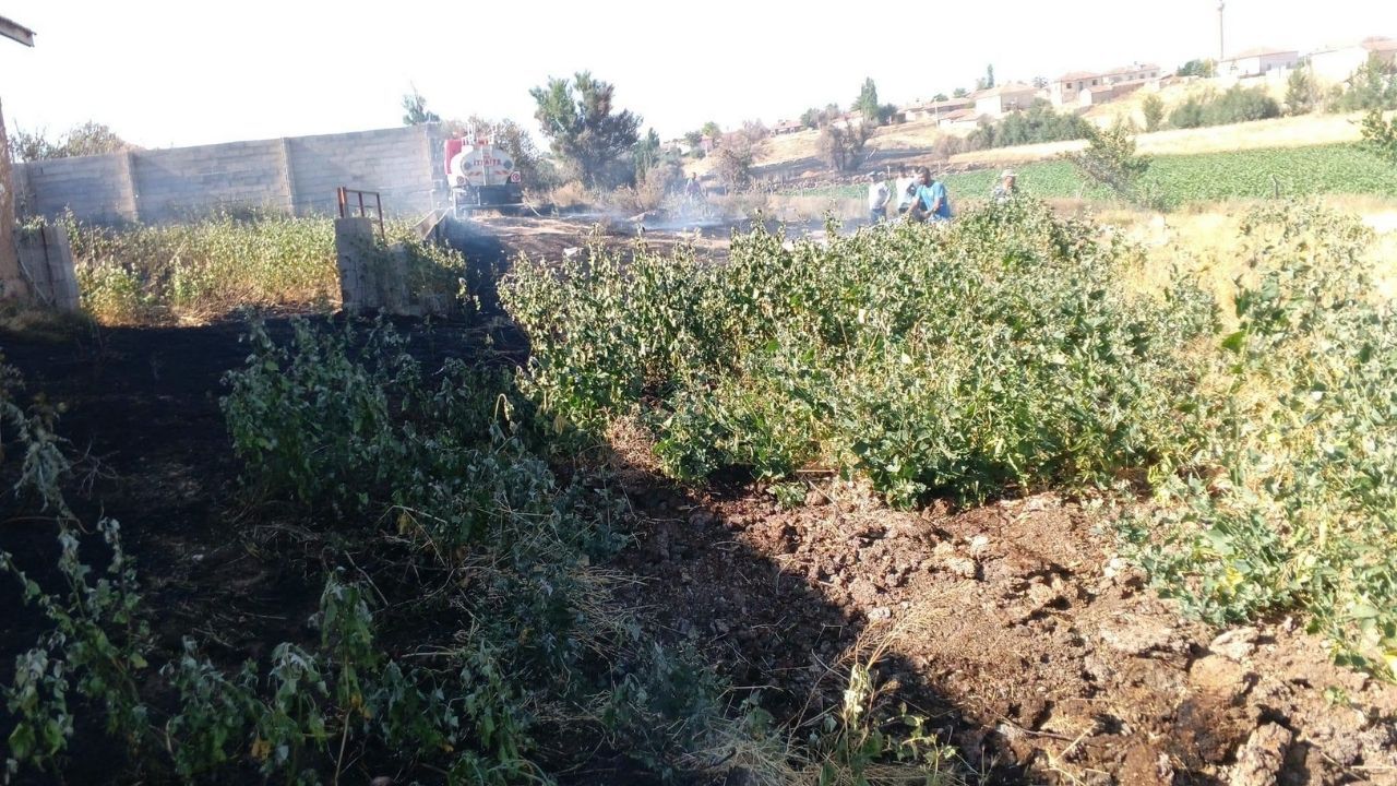Yozgat'ta Yangın Ihbarları Peş Peşe Geliyor! (3)