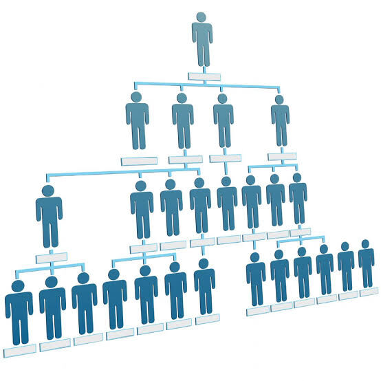Ponzi (1)