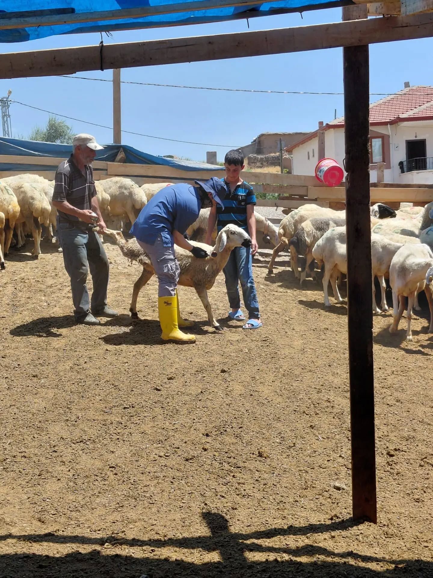 Bulaşıcı Hastalıklarla Mücadele Sürüyor