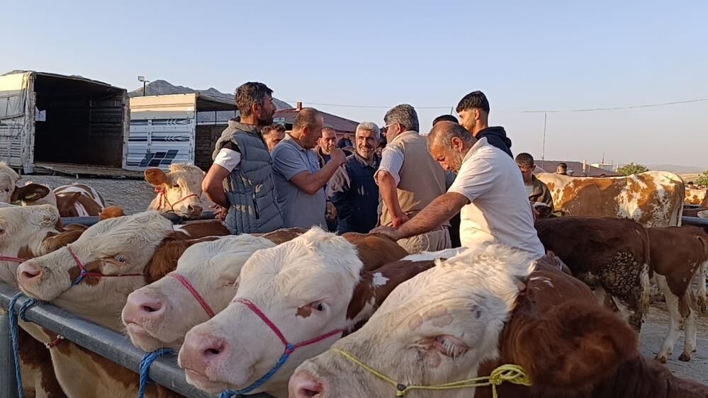 Hayvan Fiyatları Düşüşte1