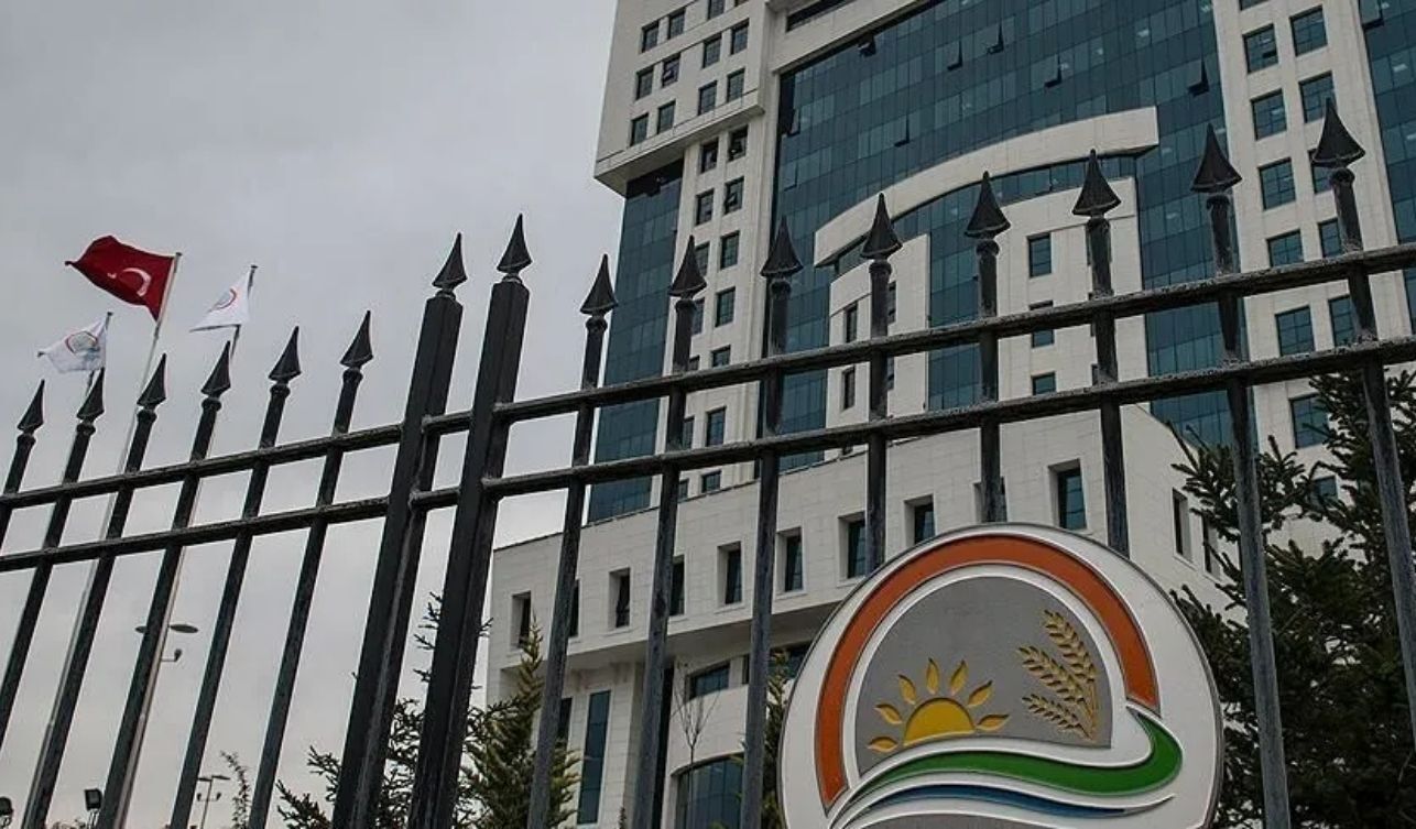 Resmi Gazete'de Yeni Tebliğ İthalatta Hangi Ürünler Denetlenecek (2)