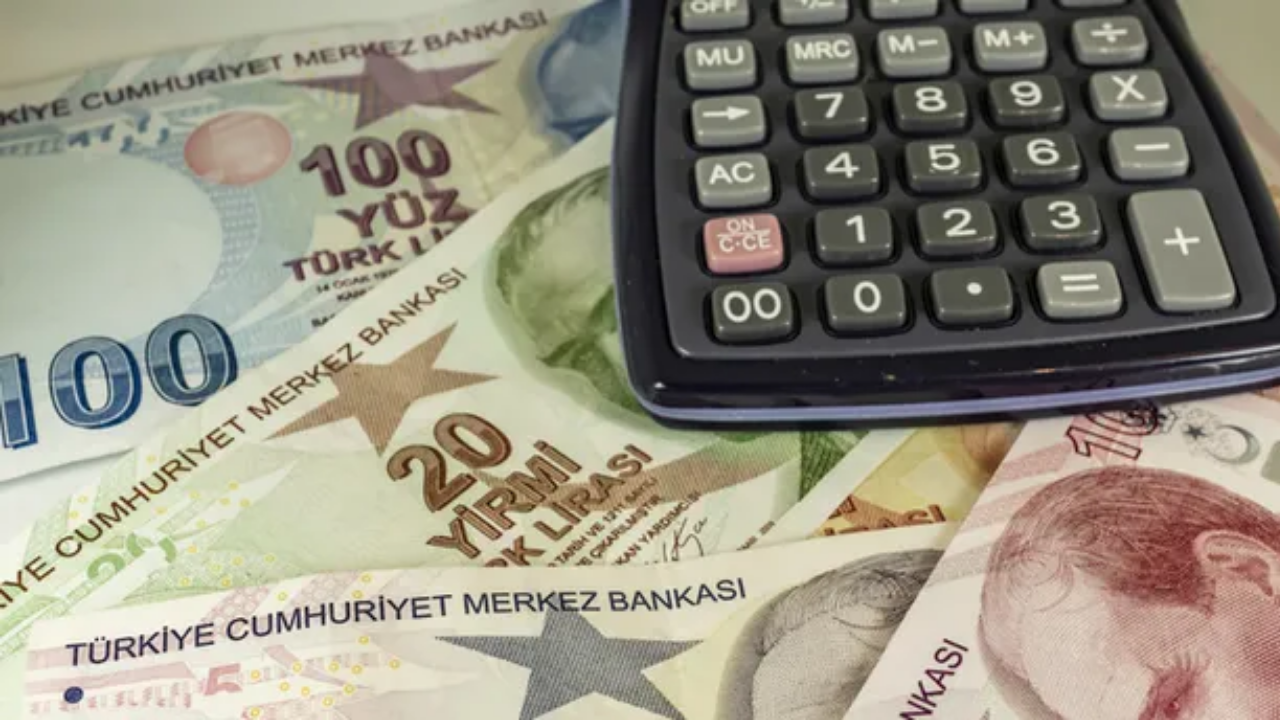E Devlet'ten Sorgulatın! Unutulan Paralarınızı Geri Alabilirsiniz (2)