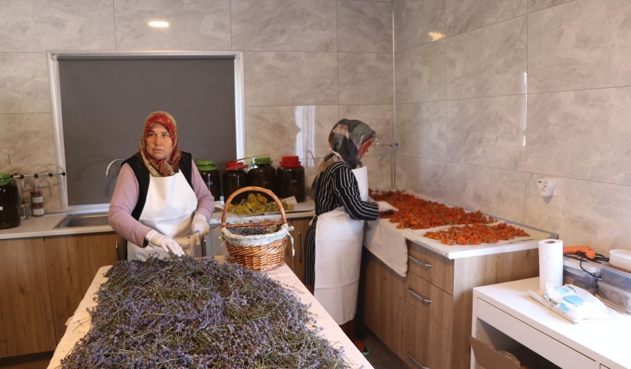 Meyveler Meşe Fıçısında Doğal Sirkeye Dönüşüyor (5)