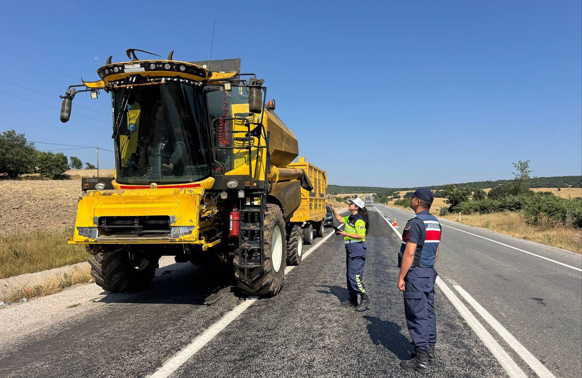 Tarım
