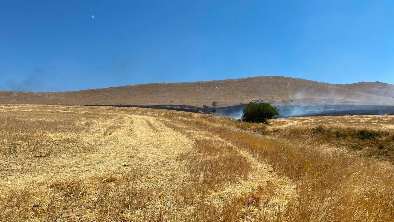 Yozgat’ta Anız Yangını (2)