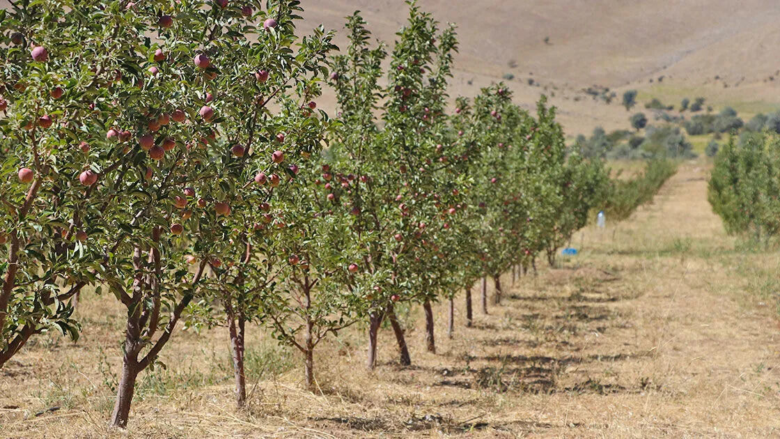 Üç Proje Imzalandı 2