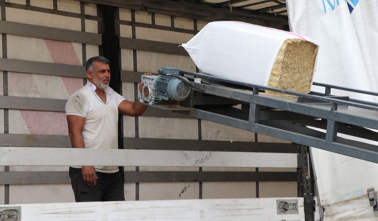 Yozgat Saman (3)