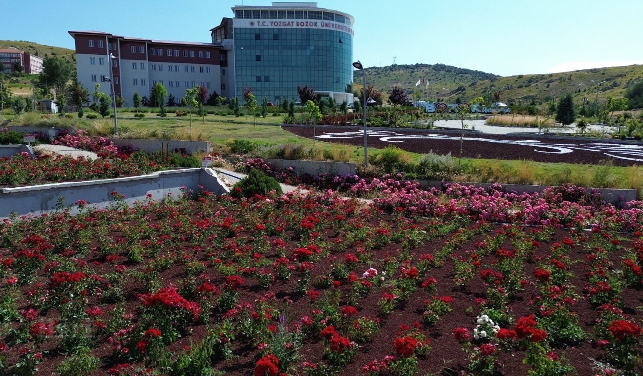 Yobü (3)