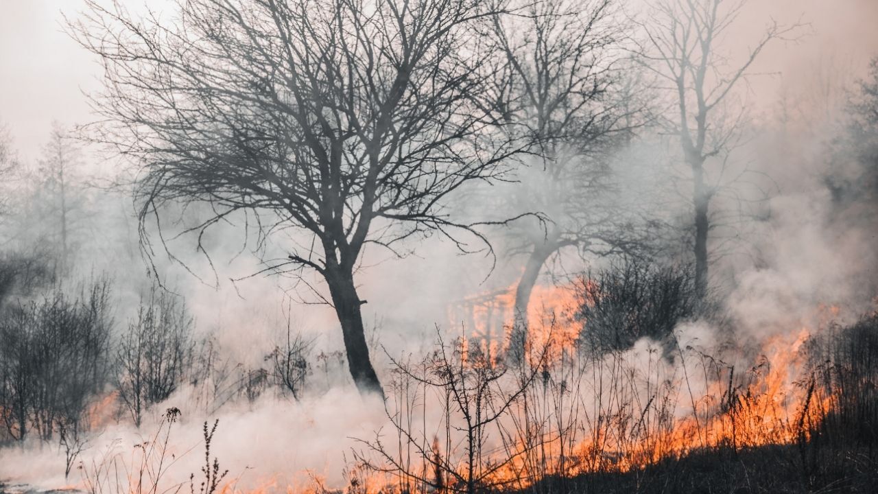 Çiftçilere Kritik Uyarı Yozgat Alevlere Teslim Olmasın! (7)