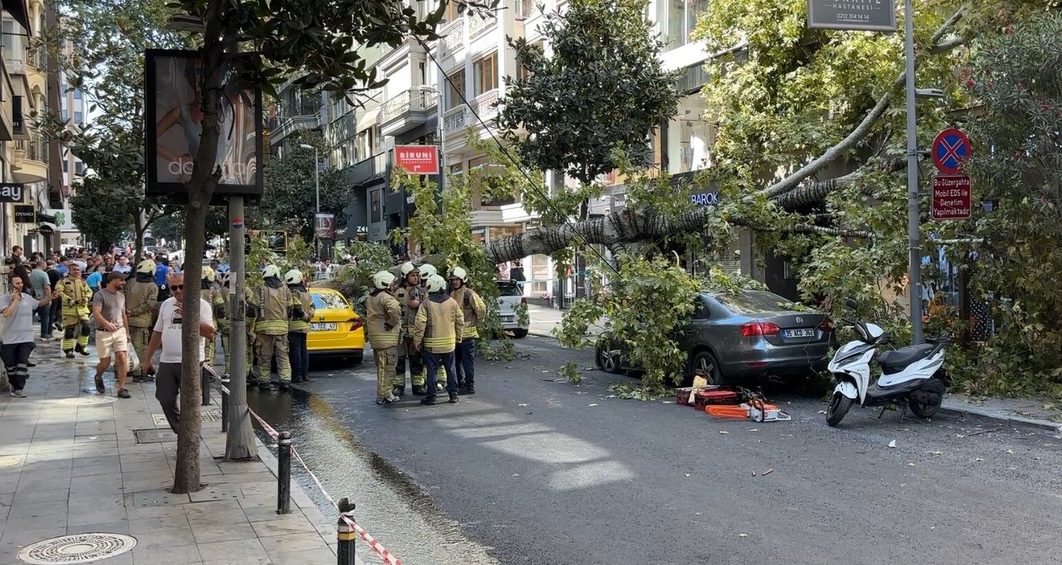 Çınar Ağacı Iki Aracın Üzerine Devrildi (1)