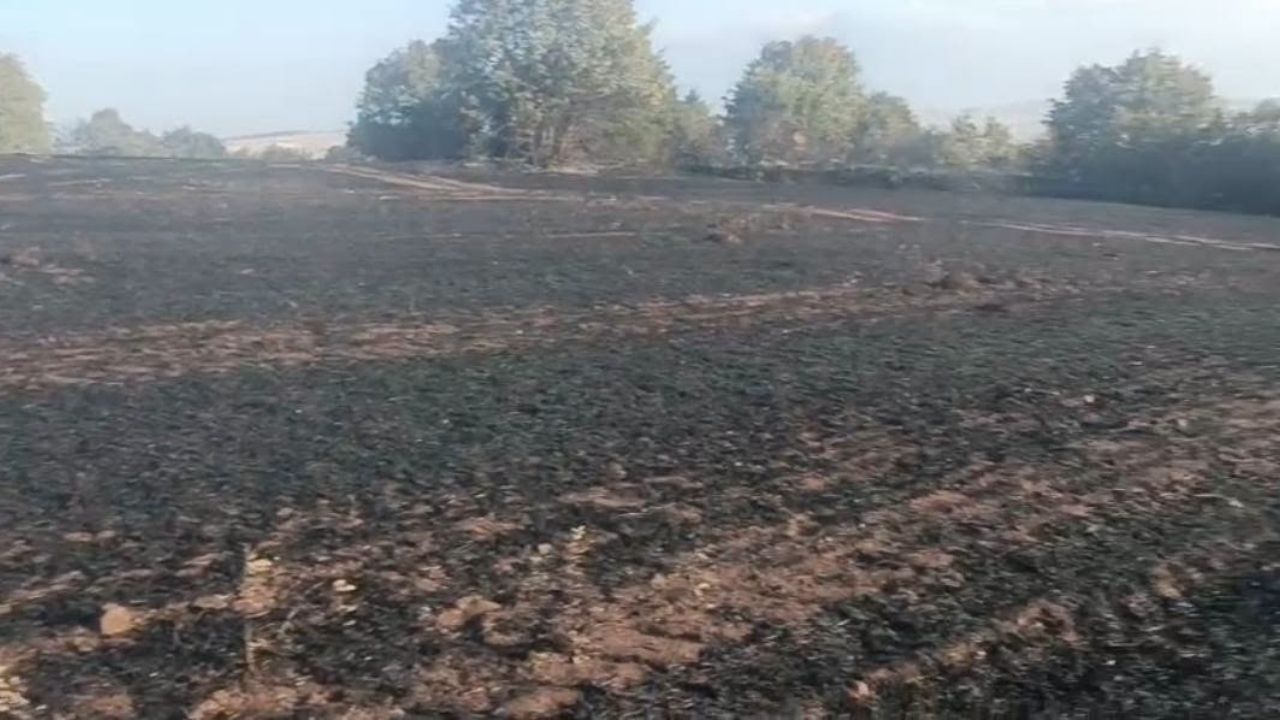 Yozgat’ta Anız Yangını Ormanlık Alana Sıçradı (3)
