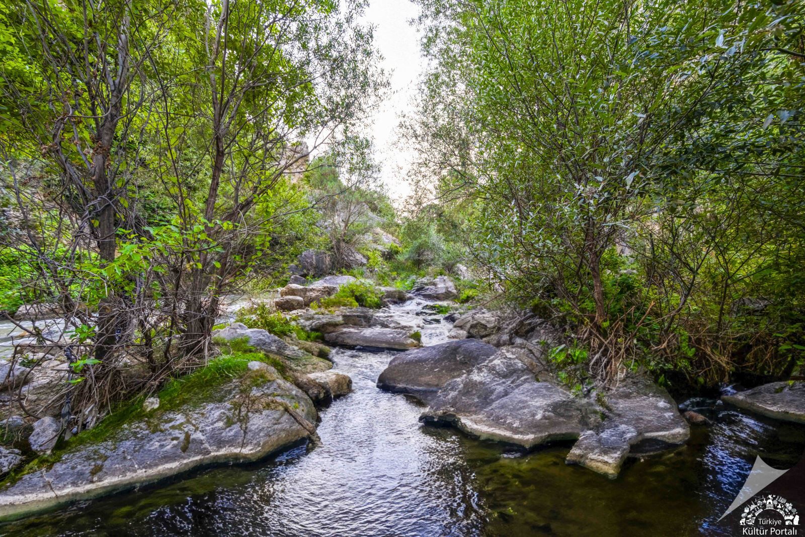 Doğan Güneş Turizm, Yabancı Turistleri Ağırlayacak (3)