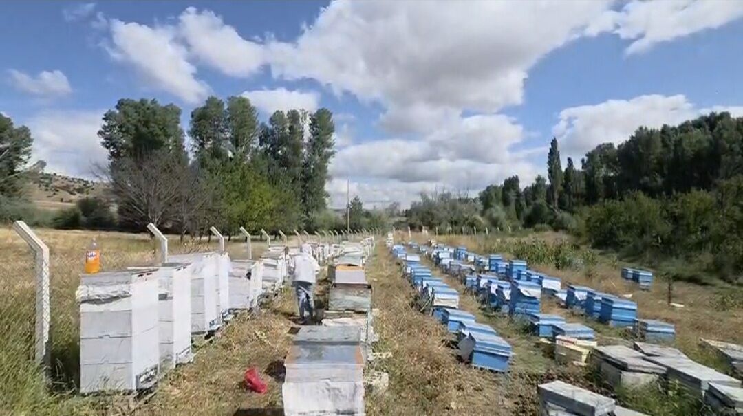 Hobi Olarak Başladı (2)