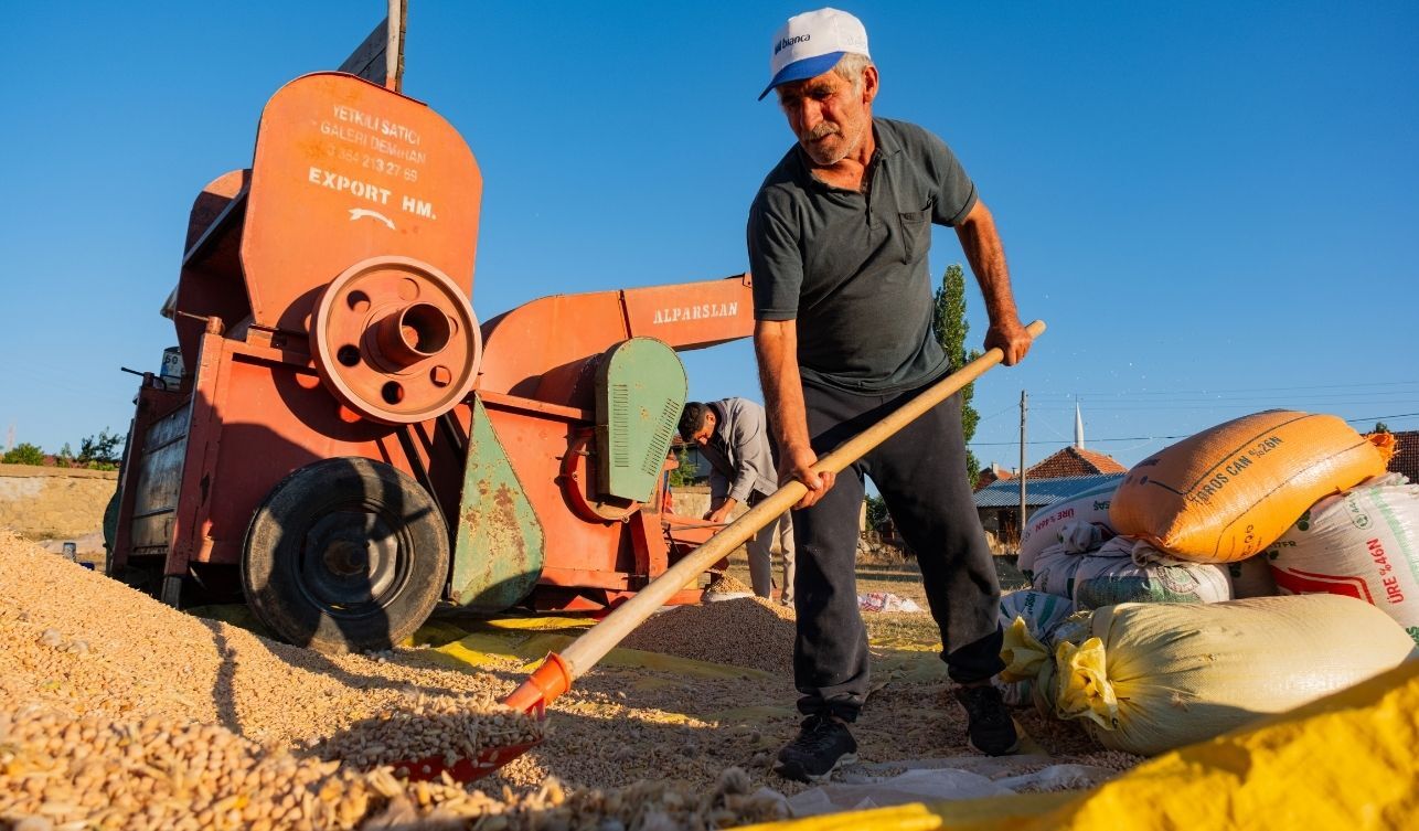 Hasat Yozgat (2)