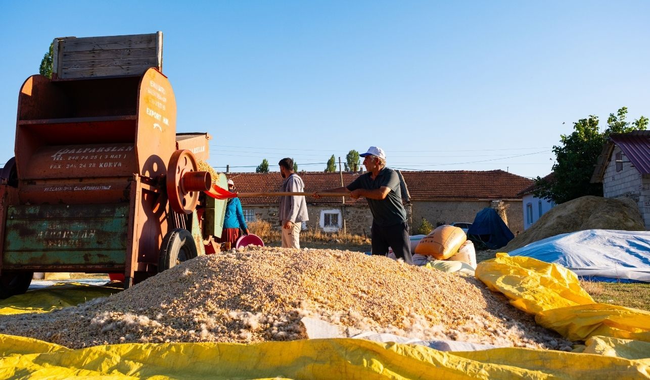 Hasat Yozgat (3)