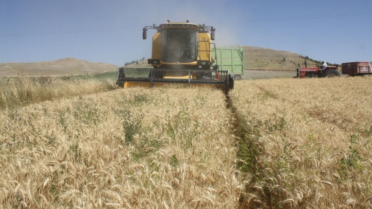 Yozgat Tarım (4)