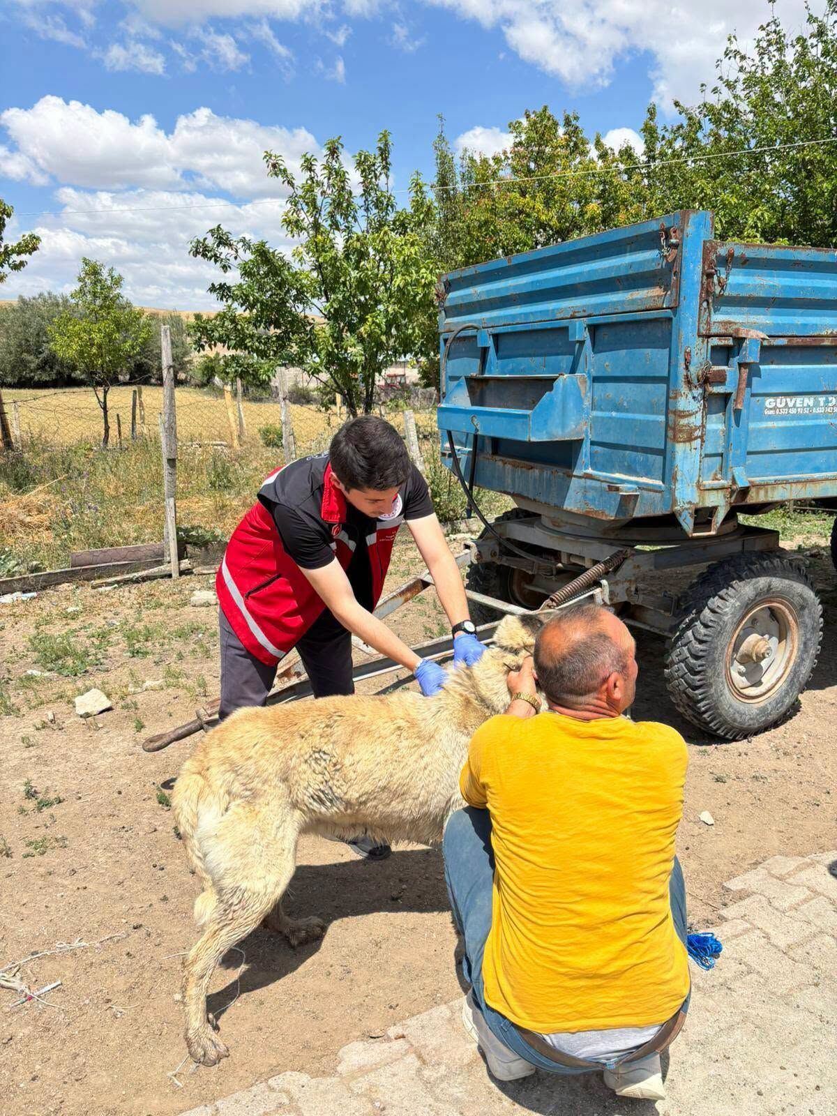 Cezai Işlemlere Dikkat