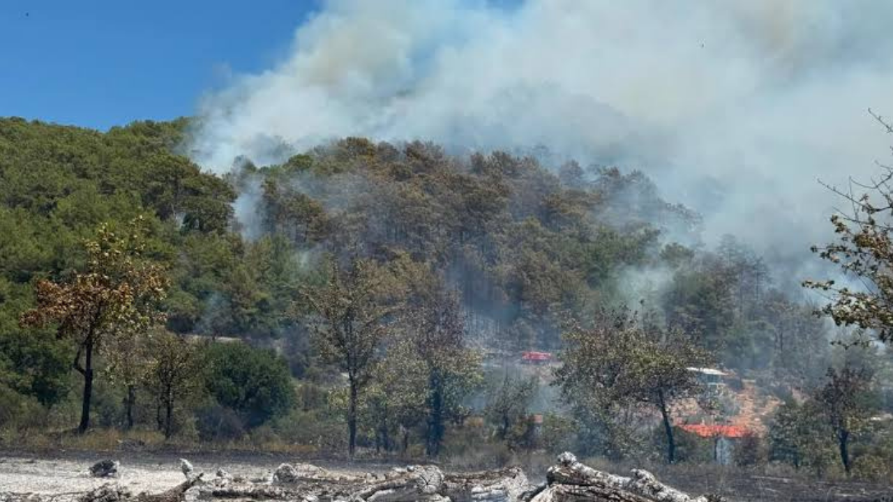 Yozgat’ta Orman Yangını Alarmı! Sıcaklık 30 Dereceyi Aştı (2)