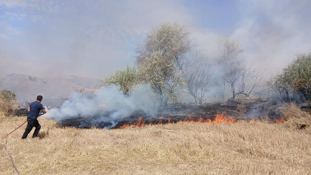 Yozgat'ta 150 dönüm arazi kül oldu