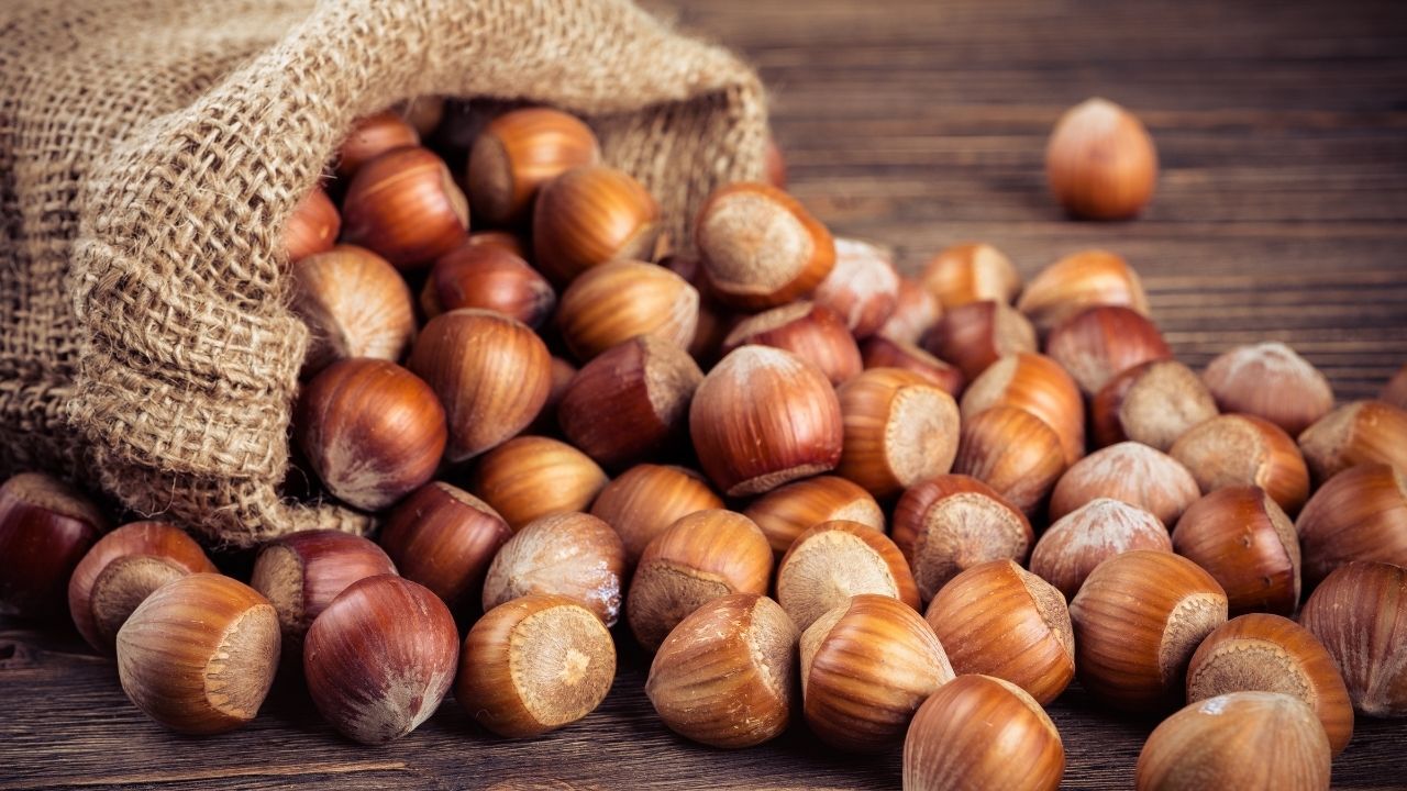 Fındık piyasasına sıkı denetim! 4 ticaret borsası mercek altında