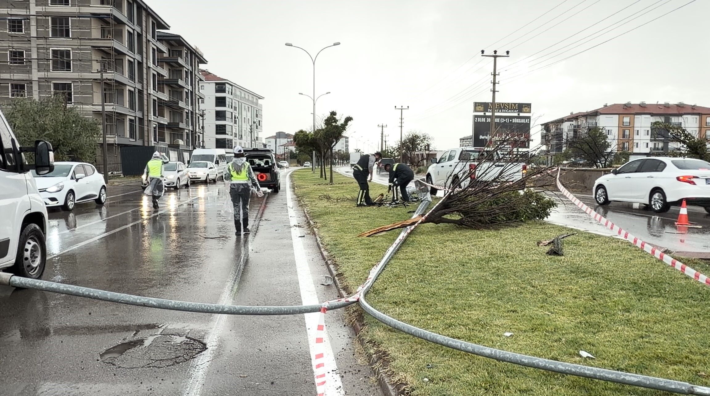 Otomobil Önce Direği Sonra Ağacı Devirdi! (2)