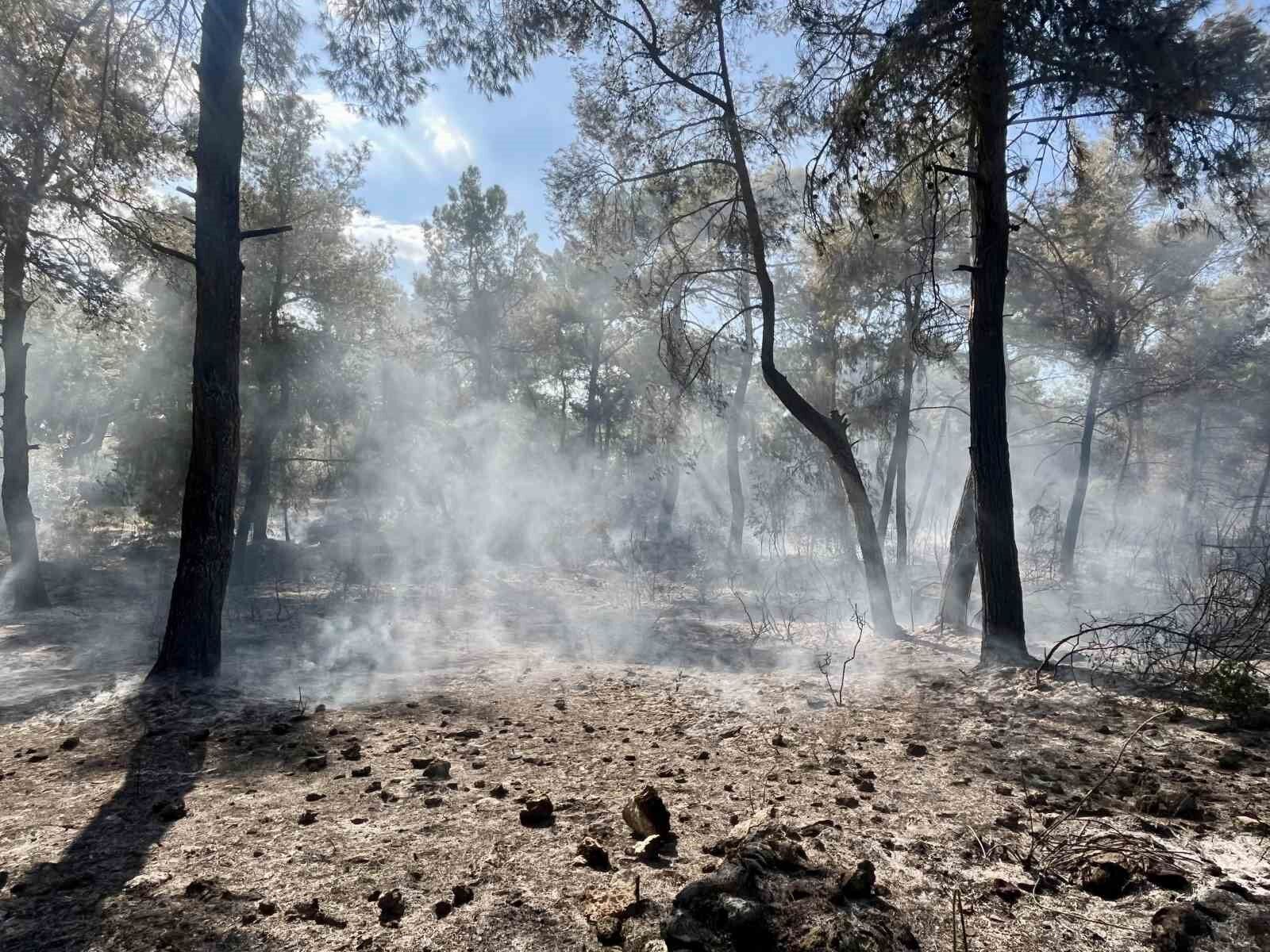 Orman Yangını Kontrol Altına Alındı (1)