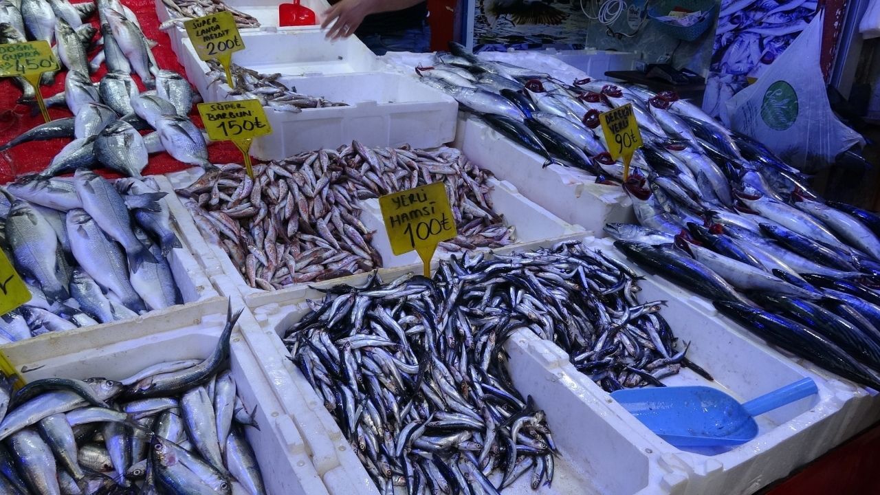 Palamut 90 Tl’ye Kadar Geriledi Vatandaş Tezgahlara Akın Etti (2)