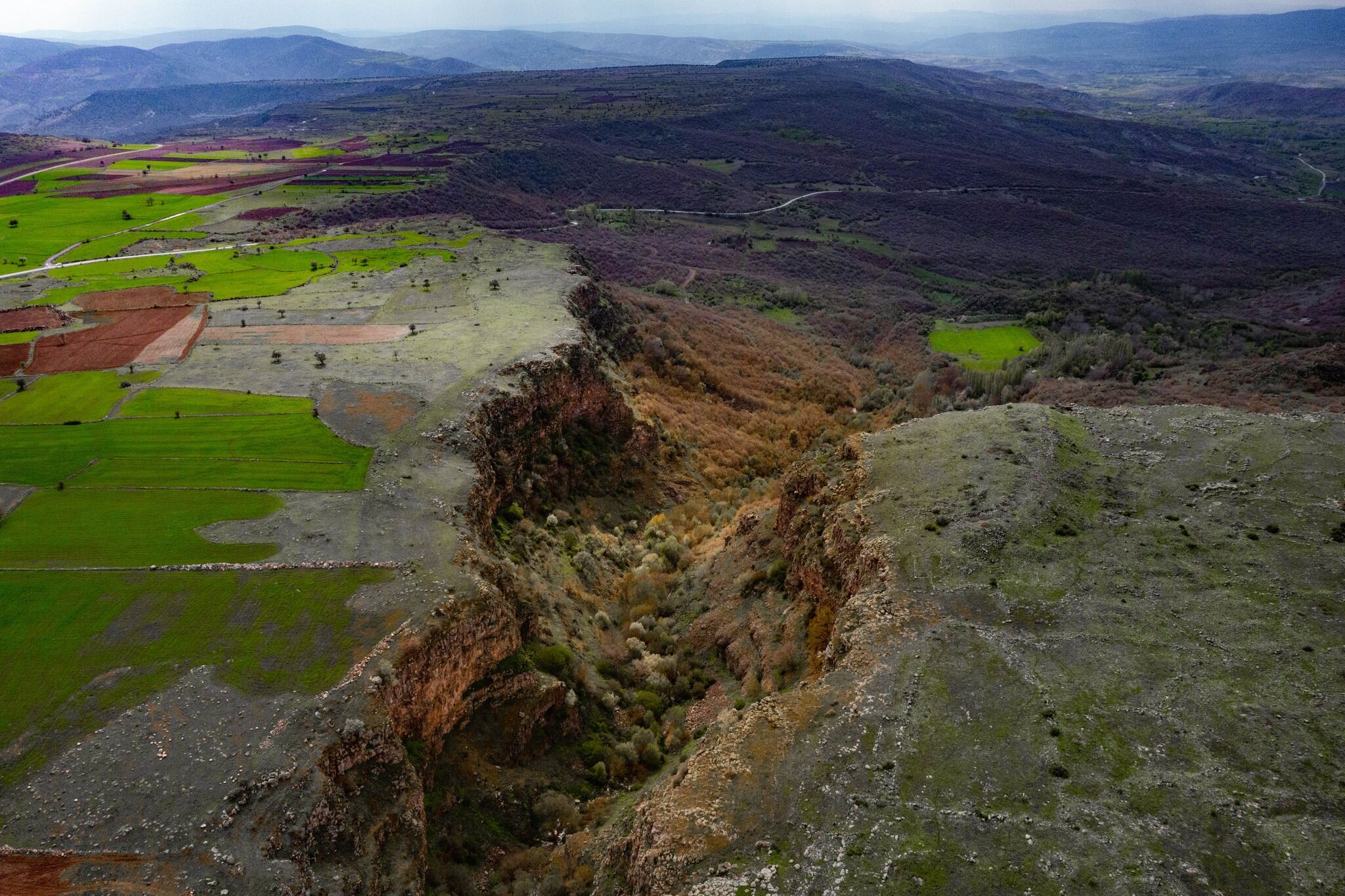 Akdağmadeni Orman (2)