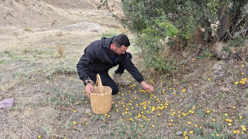 Faydaları Saymakla Bitmiyor4