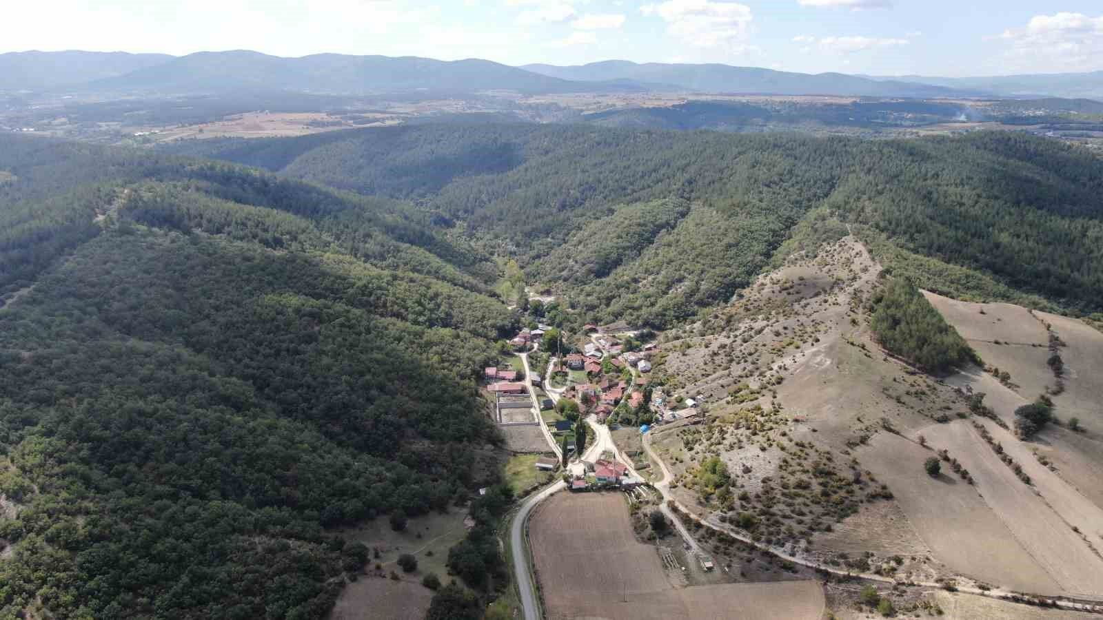 Köye kadar inen kurtlar ağıla girdi! 18 koyun telef oldu1