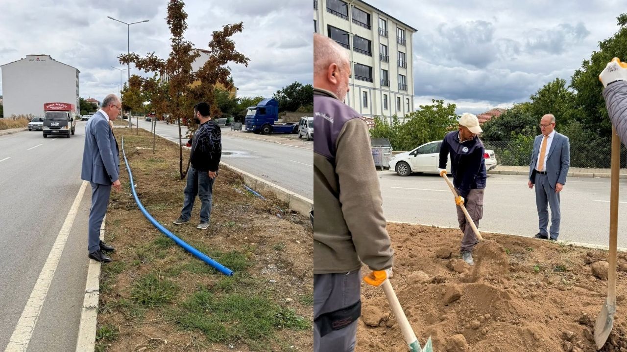 Çekerek Peyzaj Çalışmaları (1)