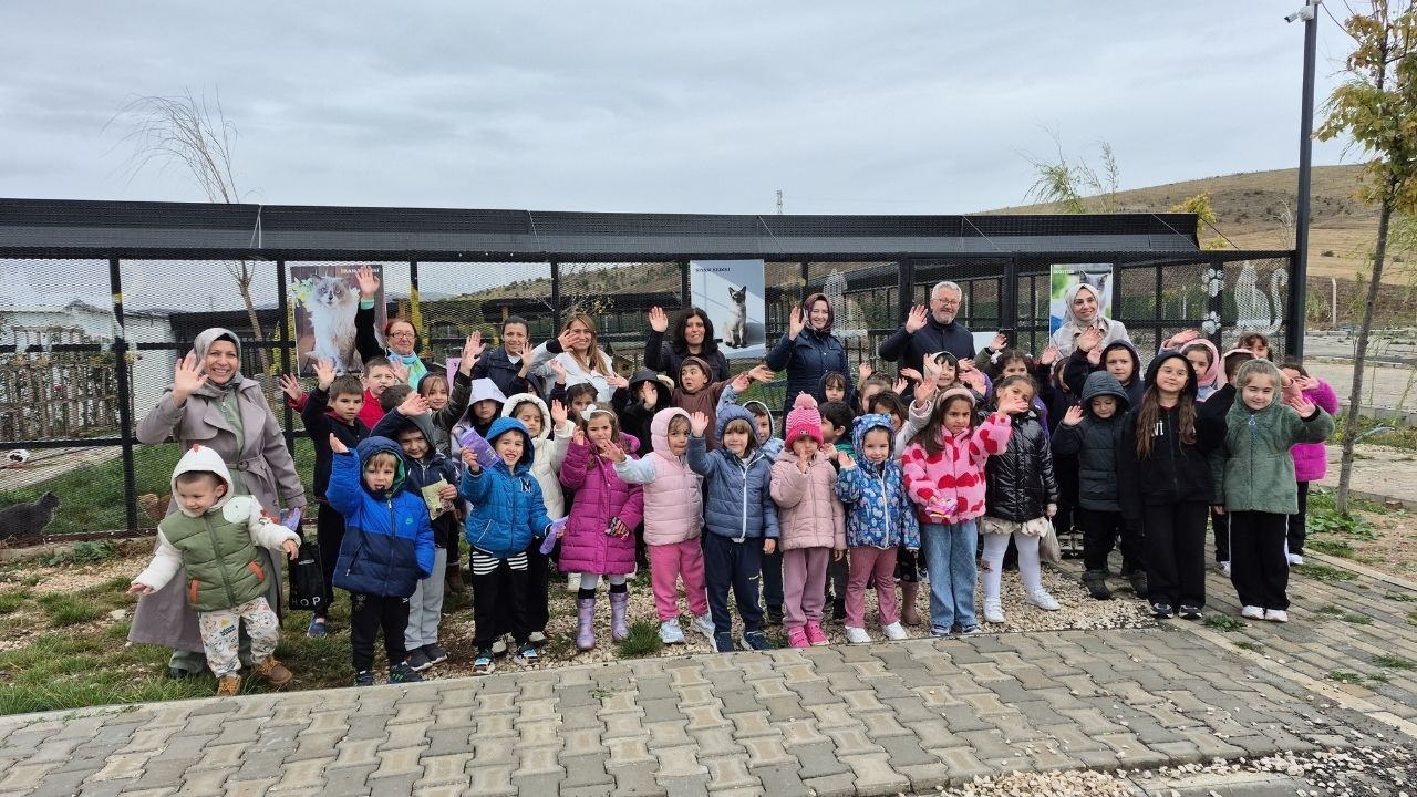 Yozgat Sokak Hayvanları Projesi (5)