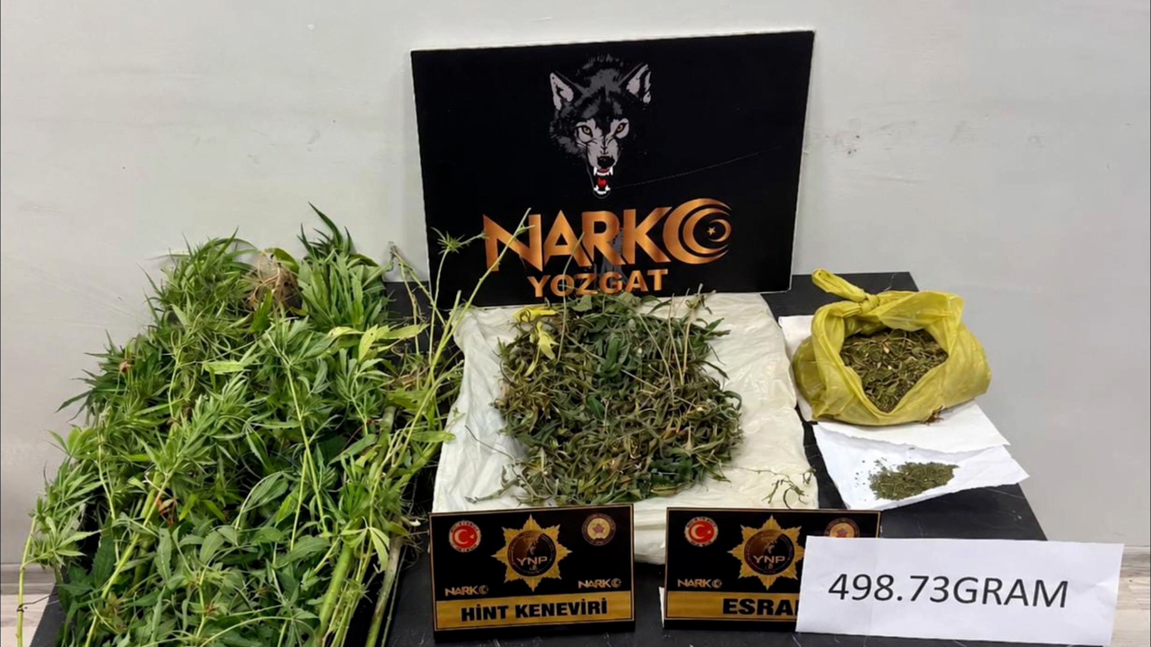 Narko (1)