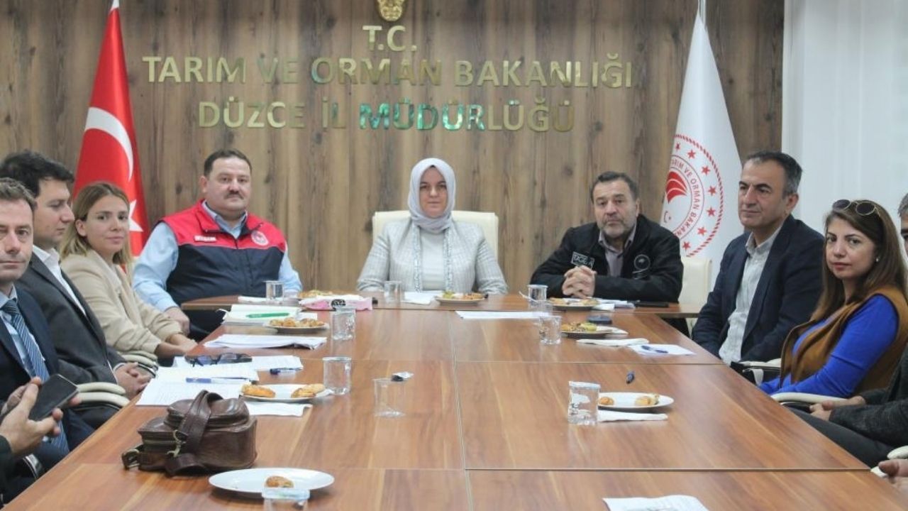 Manda Yetiştiriciliği (1)