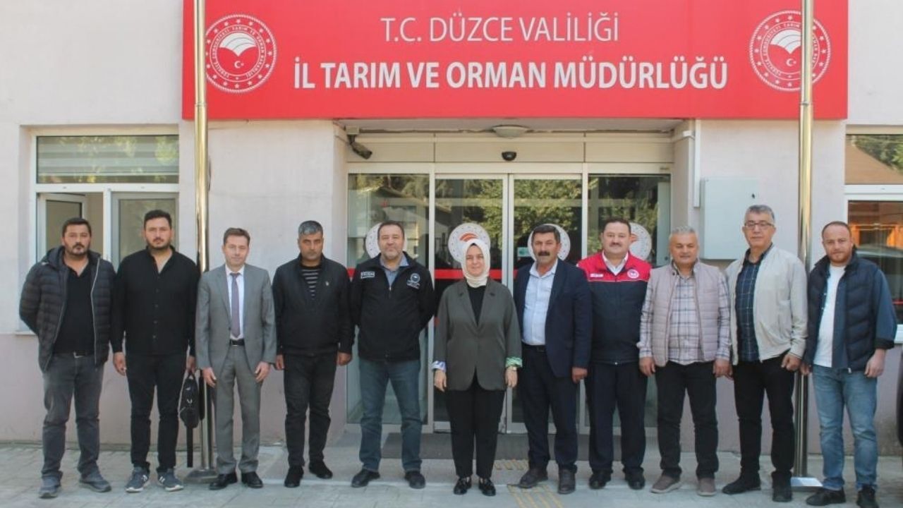 Manda Yetiştiriciliği (2)