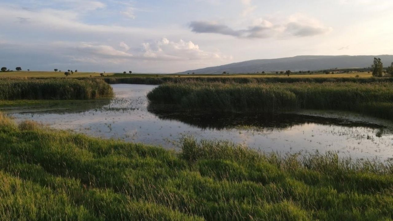 Yozgat’a 1,5 Saat Uzaklıktaki Kuş Cenneti Kurudu! (2)