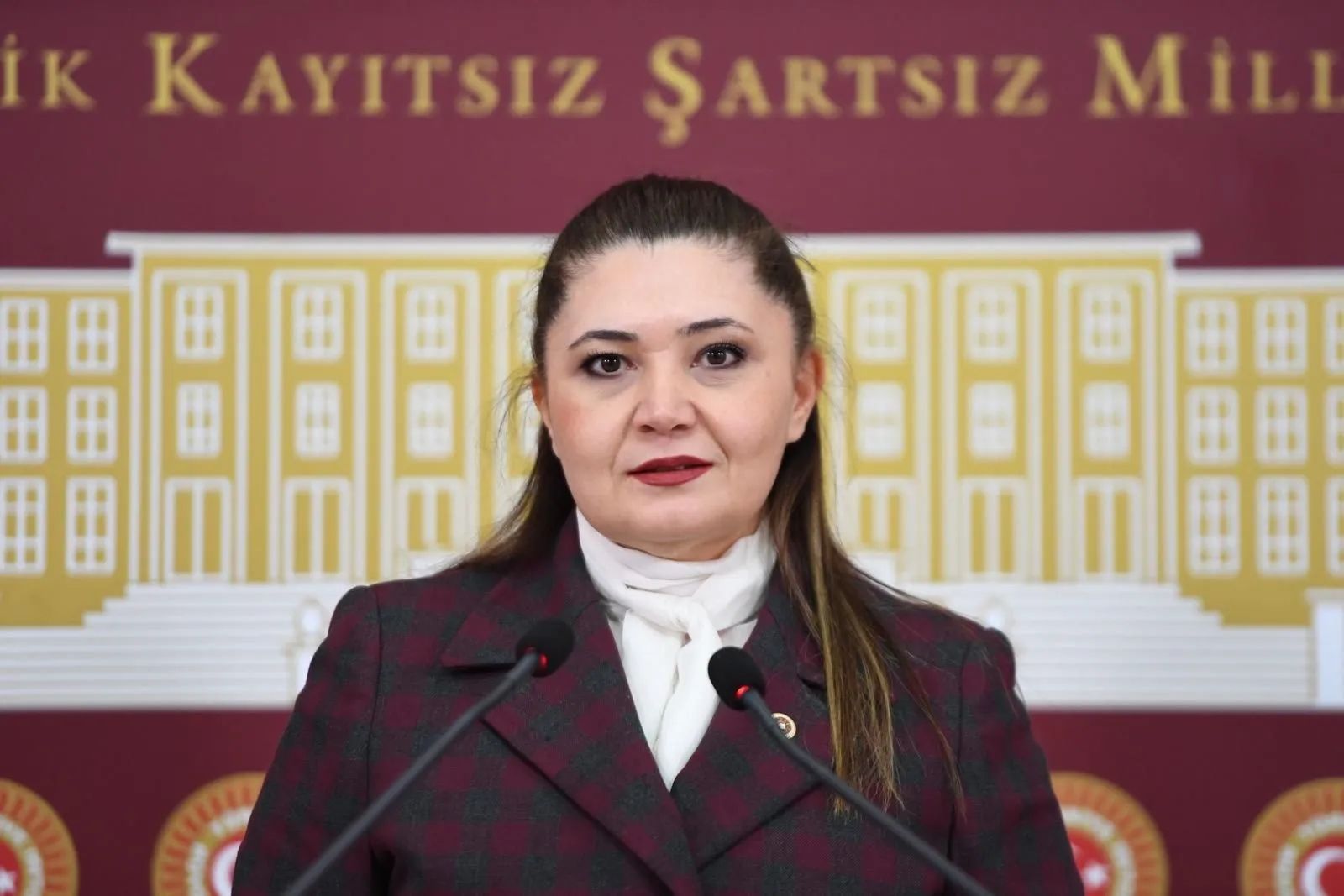 Selcan Taşçı Hamşioğlu (3)