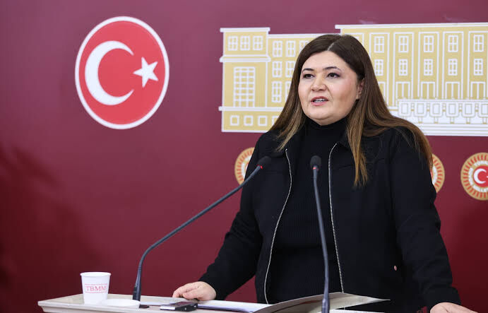 Selcan Taşçı Hamşioğlu (5)