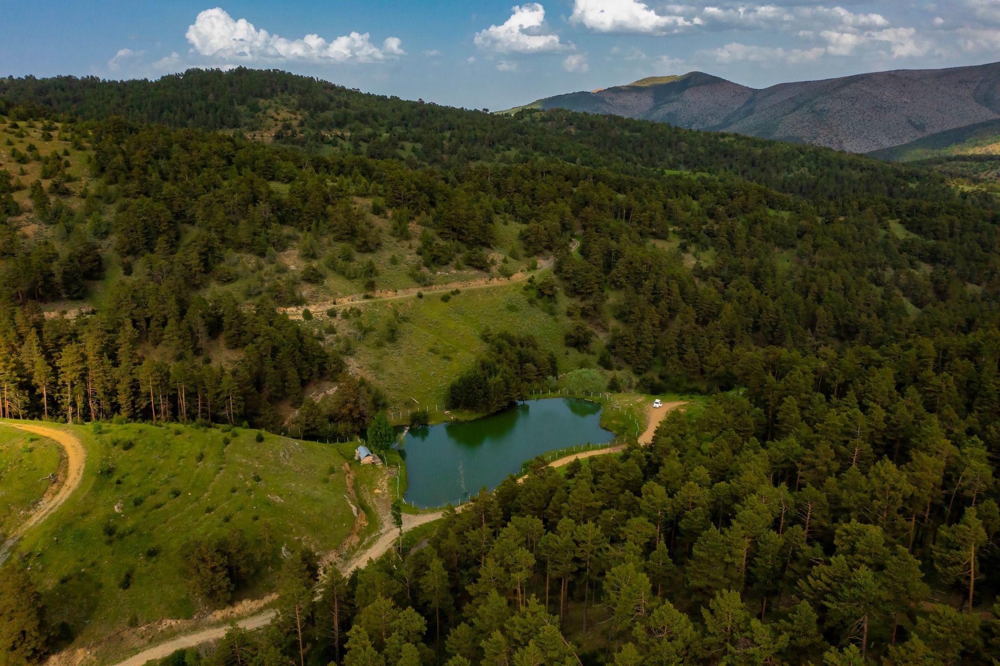 Akdağmadeni Orman (4)