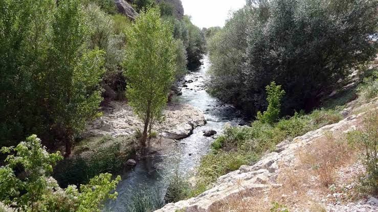 Sonbahar Görsel Şölene Dönüştü 2